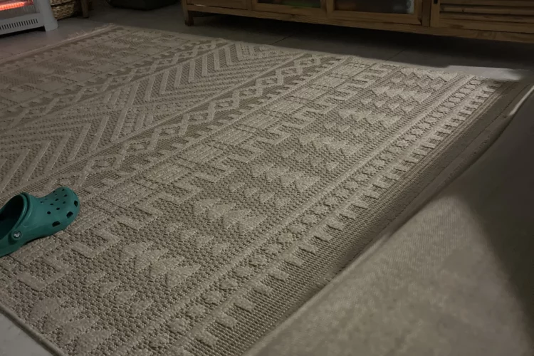 גלגחגחגיס – תמונה 4