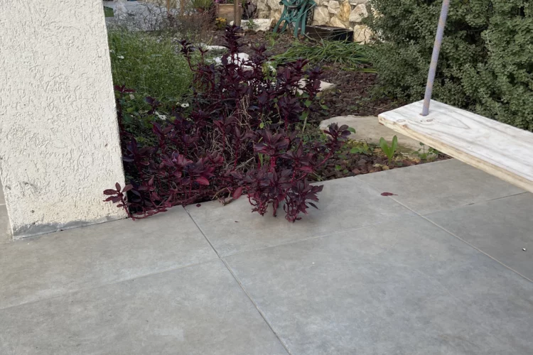 גינה למכירה – תמונה 2